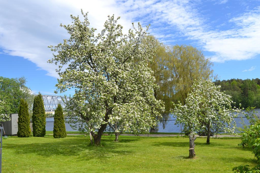 Lossiranta Lodge Savonlinna Eksteriør billede